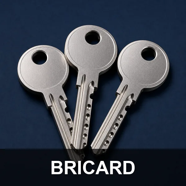 Serrurier Bricard à Achères 78260
