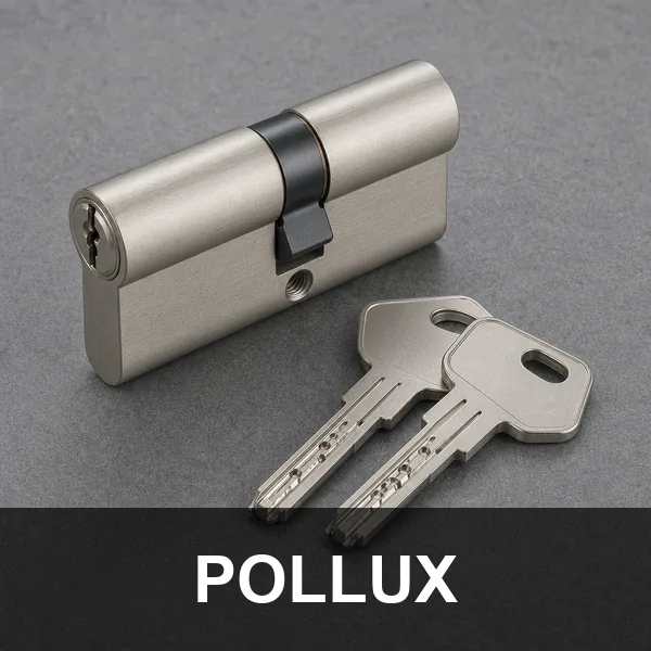 Installateur agréé POLLUX à Achères